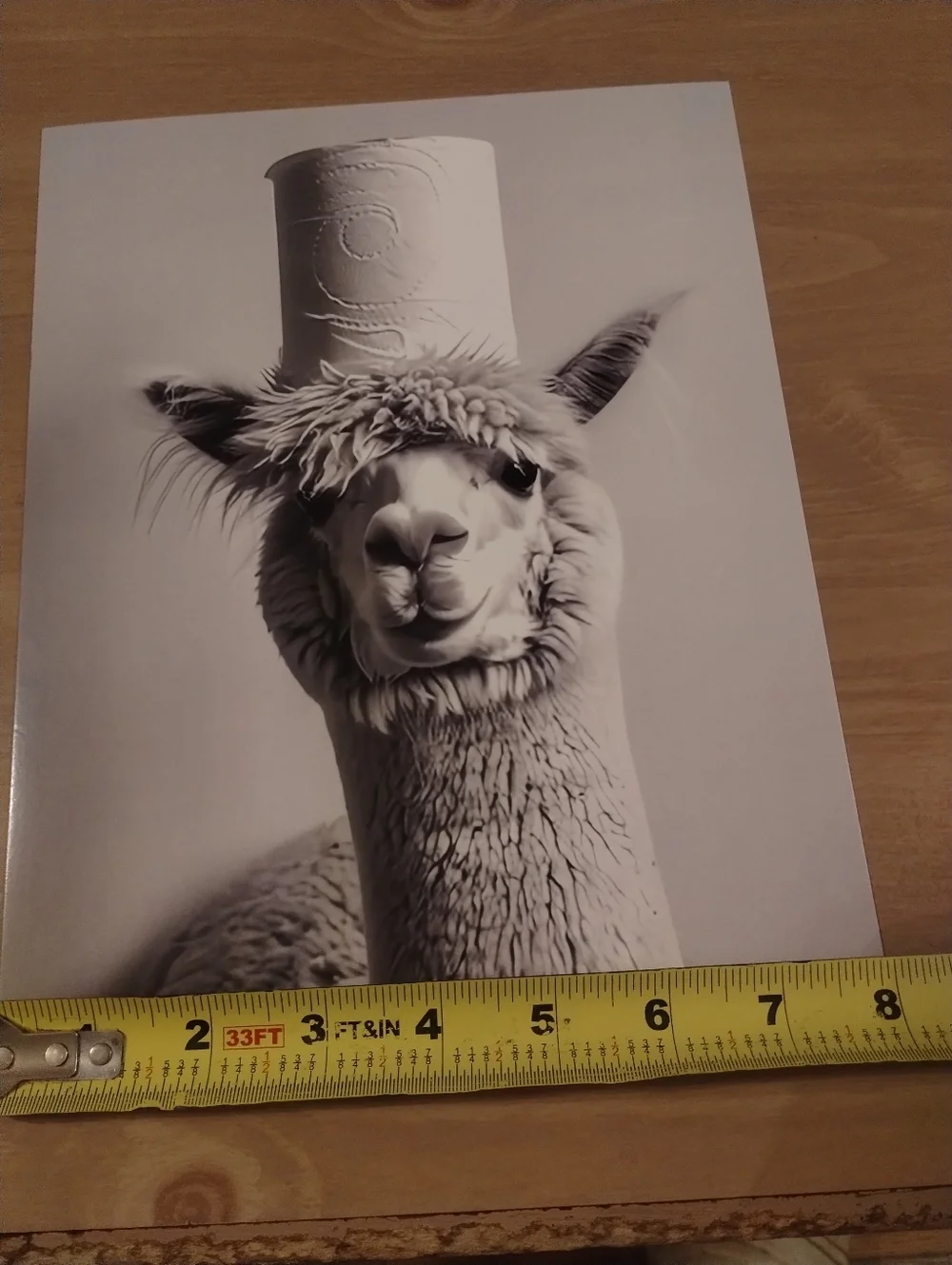 Black & White Llama Wall Art Print Top Hat Animal Photo 8x10 Farmhouse Decor Cut
